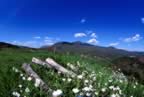 Vista dal Parco Faunistico a primavera (23kb)